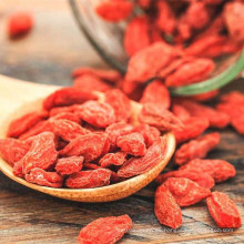 Venta caliente orgánica bayas de goji con alta calidad